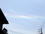 DSCF0818_600.jpg