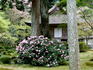 DSCF4558_600.jpg