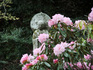 DSCF4563_600.jpg