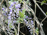 DSCF9292_600.jpg