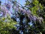 DSCF9293_600.jpg