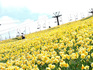 DSCN0960_600.jpg