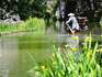 DSCN1040_600.jpg