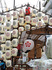 DSCN3445_600.jpg