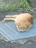 DSC_0666_600.jpg