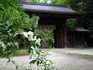 CIMG1078_600.jpg