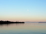 DSC_0706_600.jpg