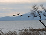 DSCN1348_600.jpg
