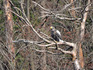 DSCN1384_600.jpg