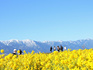DSCN1458_600.jpg