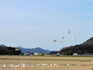 DSCN1615k_600.jpg