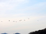 DSCN1671k_600.jpg