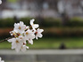 DSCN9434_800.jpg
