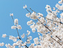 DSCN9622_800.jpg