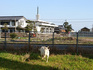 DSC_0765_800.jpg