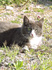 DSCN1933_600.jpg