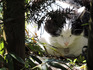 DSCN9373_800.jpg