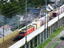DSCN2239_800.jpg