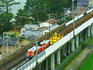 DSCN2364_800.jpg