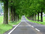 DSCN2422_800.jpg