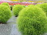 DSCN8112_800.jpg