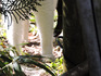 DSCN9375_800.jpg