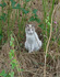 DSC_0966_550.jpg