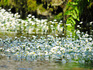 DSCN2633_800.jpg