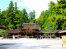 DSCN2695_800.jpg