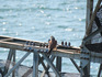 DSCN2879_800.jpg