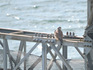 DSCN2919_800.jpg
