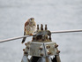 DSCN3193_800.jpg