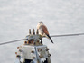 DSCN3237_800.jpg