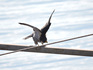 DSCN3486_800.jpg