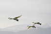 _DSC2690_900_1.jpg