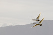_DSC2721_900.jpg