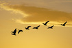 _DSC2737_800.jpg
