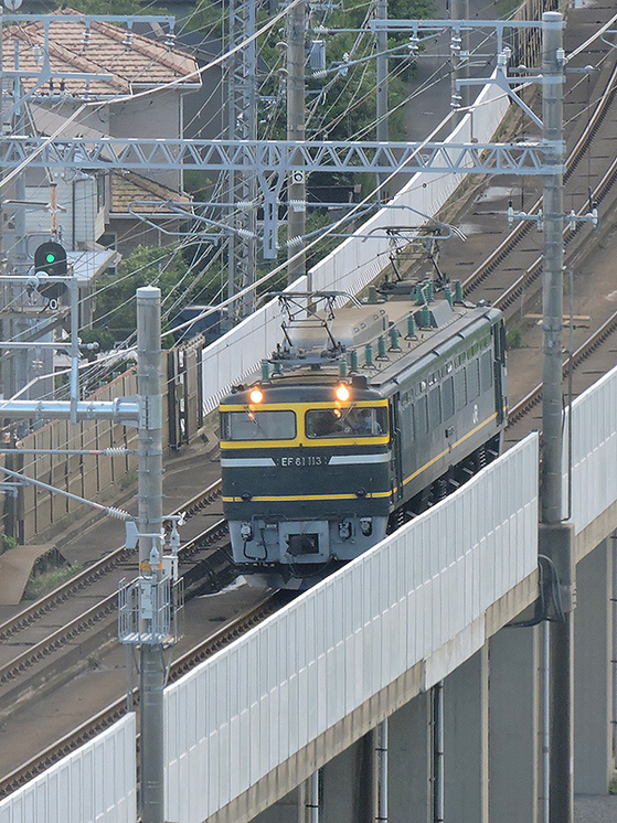 EF81113電気機関車