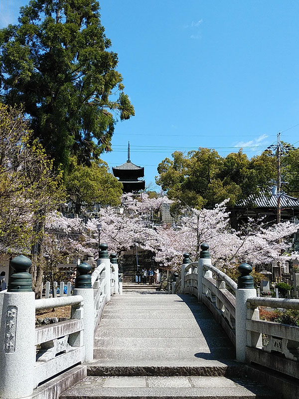 https://www.acrowass.com/ookinikyoto/photo/DSC_0226b_600.jpg