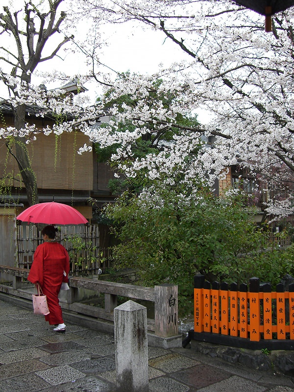 https://www.acrowass.com/ookinikyoto/photo/gionnshirakawa.jpg