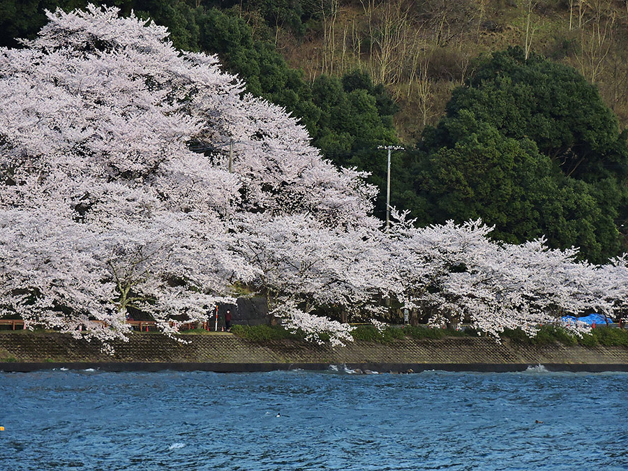 https://www.acrowass.com/ookinikyoto/photo/kaizu2_600.jpg