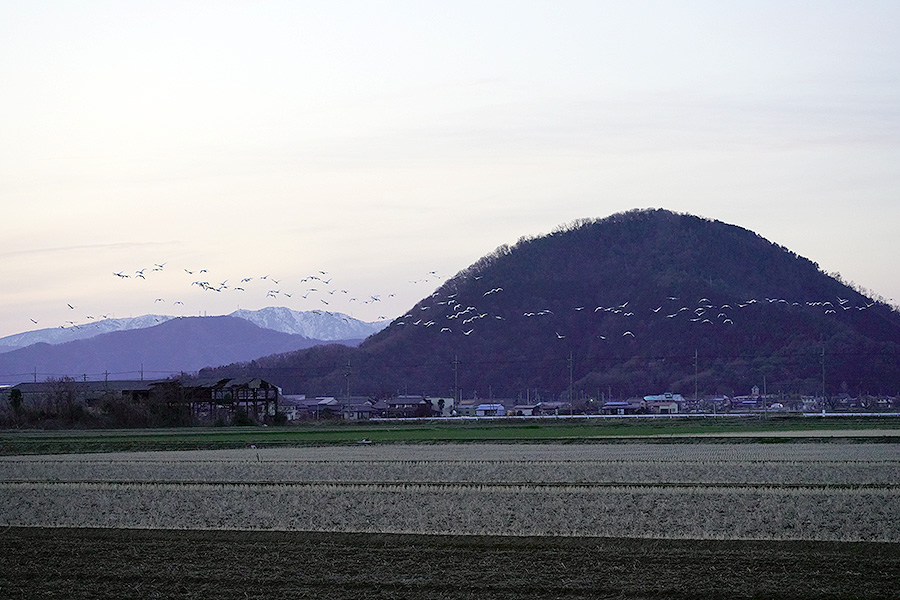 https://www.acrowass.com/ookinikyoto/photo/kohakucyo55.jpg