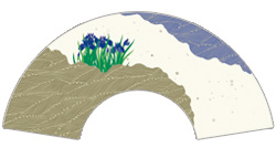 7寸5分35間の扇子のデザイン例17　菖蒲柄　オーダー扇子　オリジナル扇子
