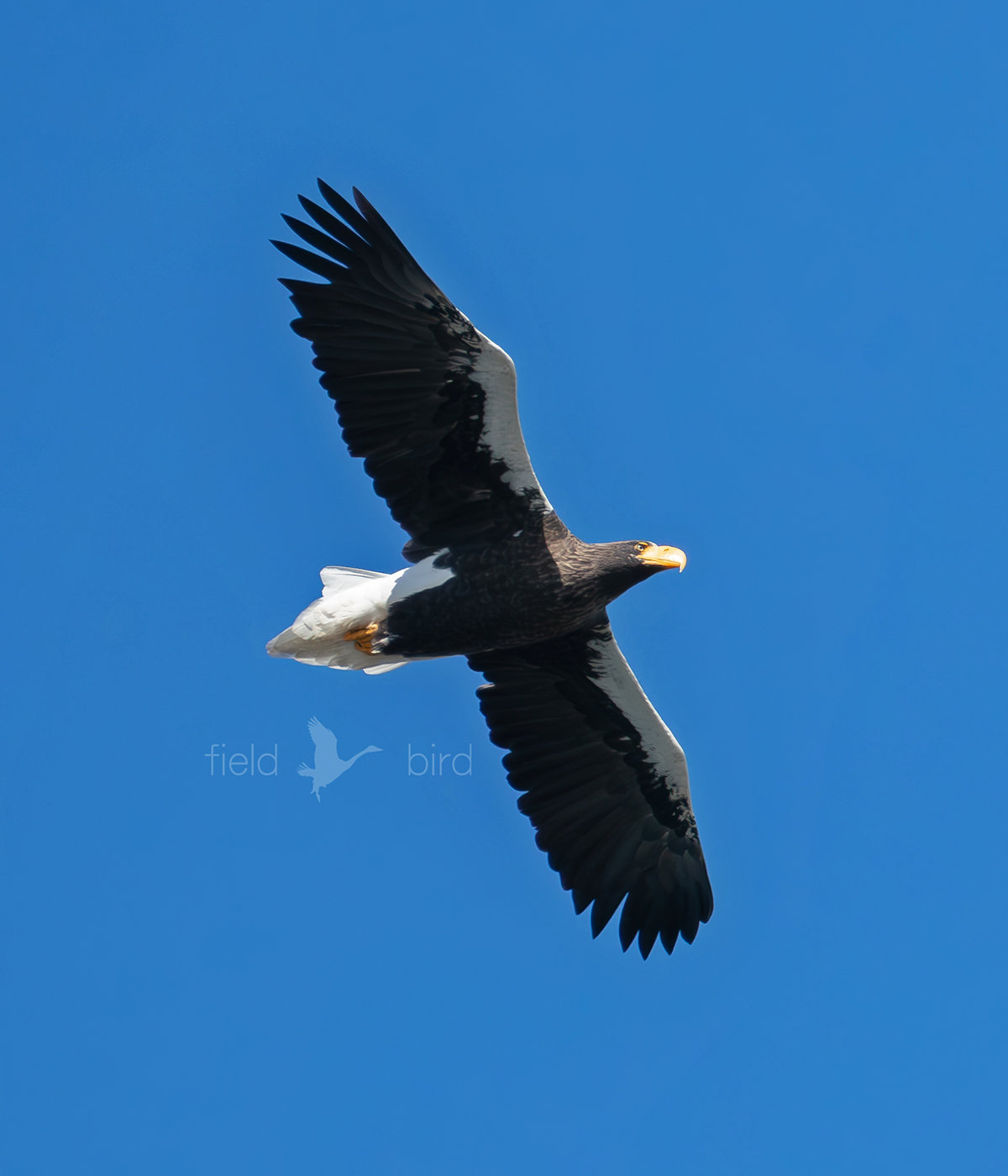 山本山のおばあちゃん