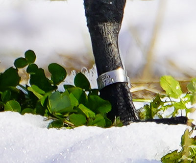 https://www.acrowass.com/toritoriyacyo/photo/20211221_8.jpg